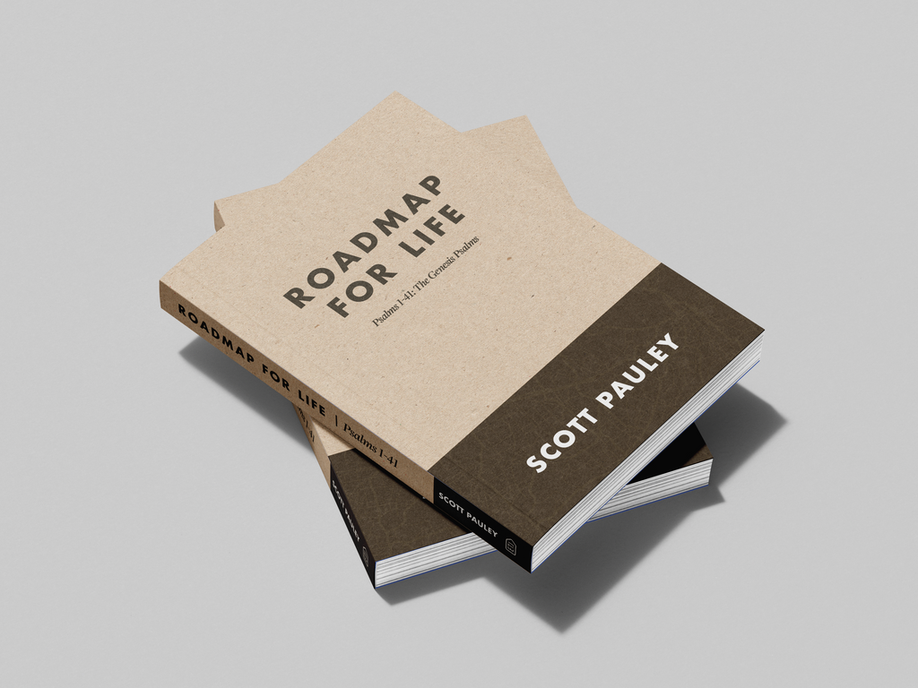 Roadmap for Life | Psalms 1-41 (Genesis Psalms)